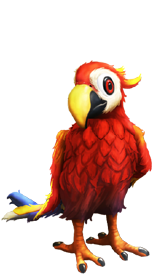 Parrot of My Free Zoo